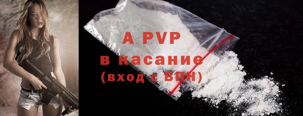 крисы Армянск