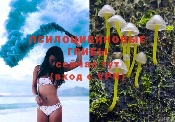 бошки Алексин