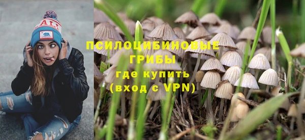 мдпв Арсеньев