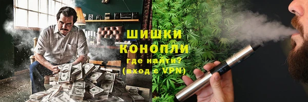 бошки Алексин